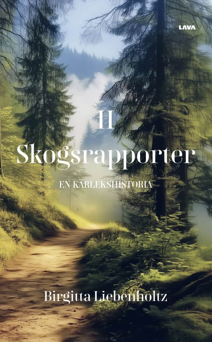 Birgitta Liebenholtz : En kärlekshistoria