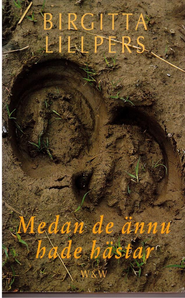 Birgitta Lillpers : Medan de ännu hade hästar