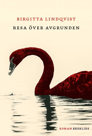 Birgitta Lindqvist : Resa över avgrunden
