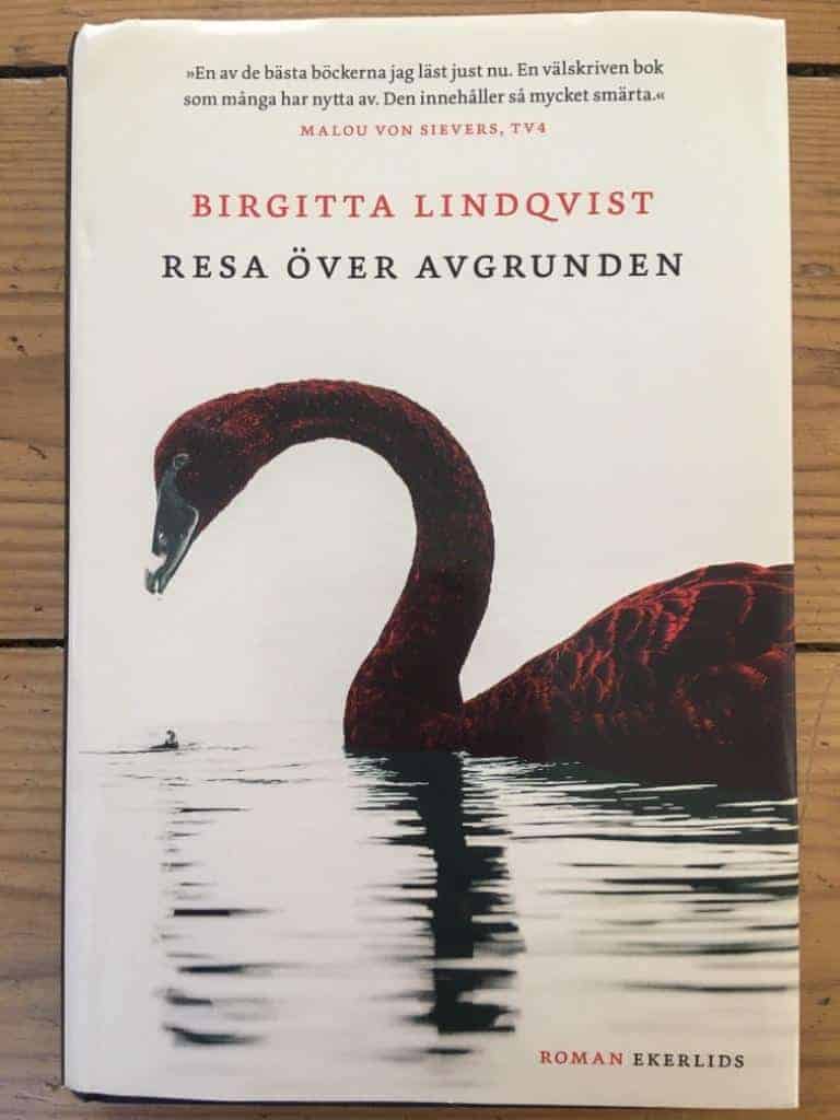 Birgitta Lindqvist : Resa över avgrunden