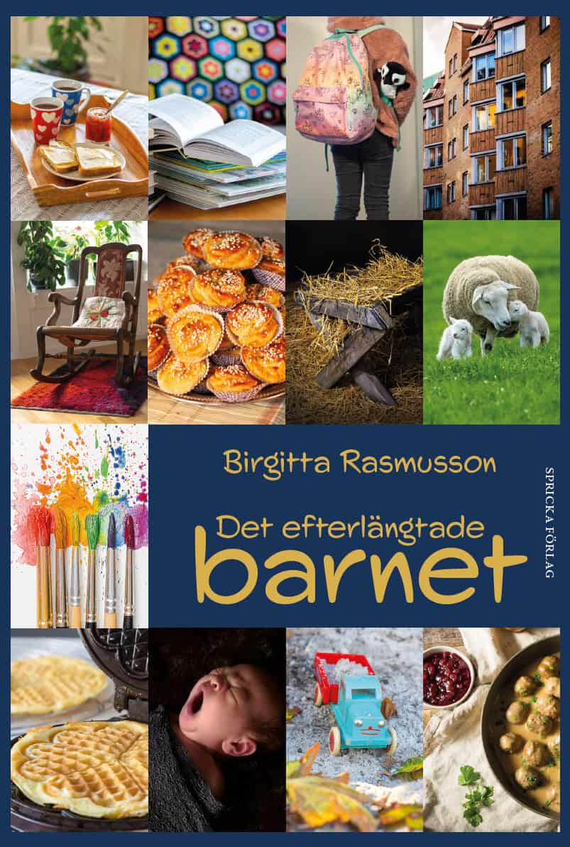 Birgitta Rasmusson : Det efterlängtade barnet