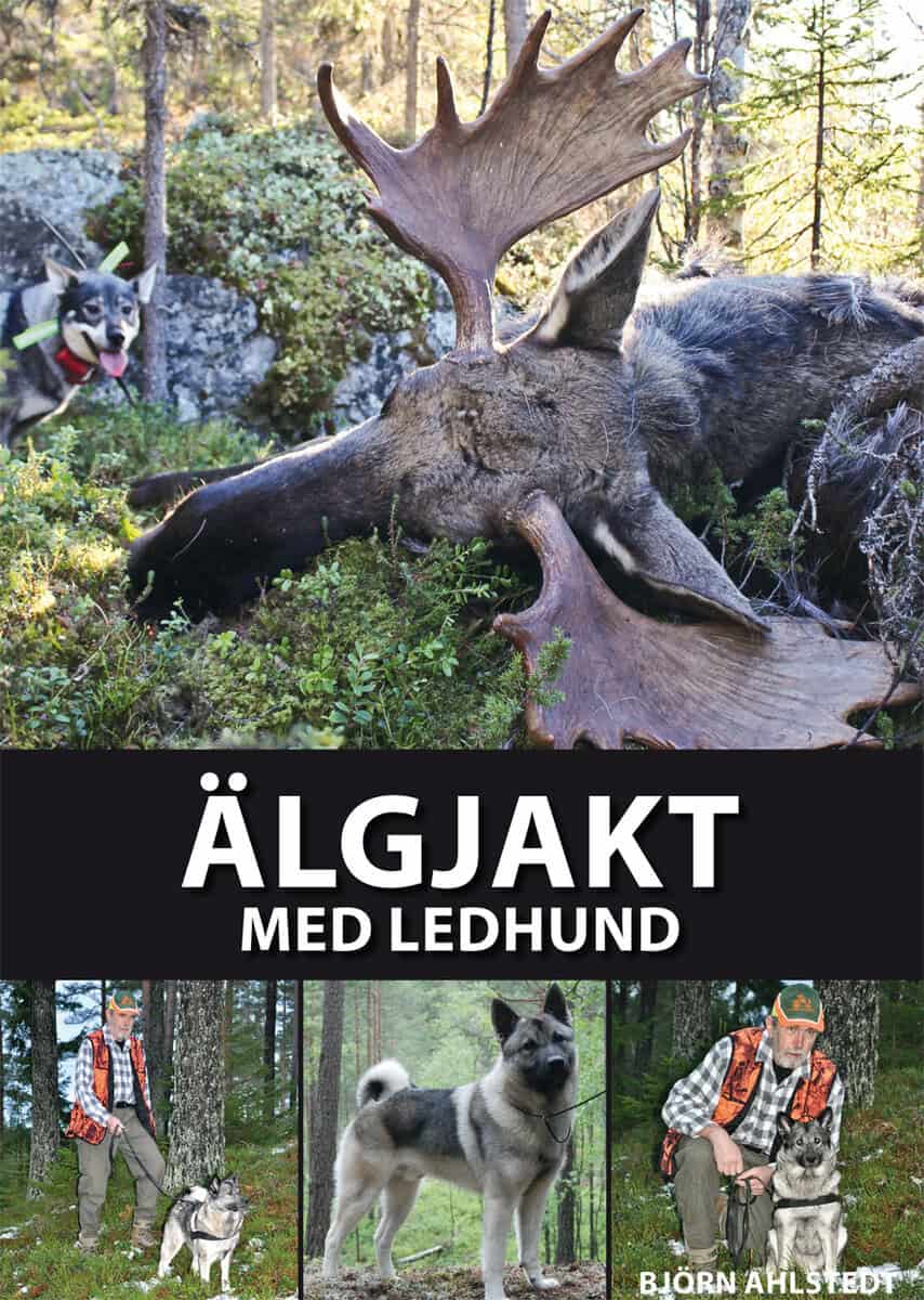 Björn Ahlstedt : Älgjakt med ledhund : från valpval till ledhundschampion