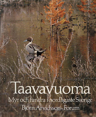 Björn Arvidsson : Taavavuoma