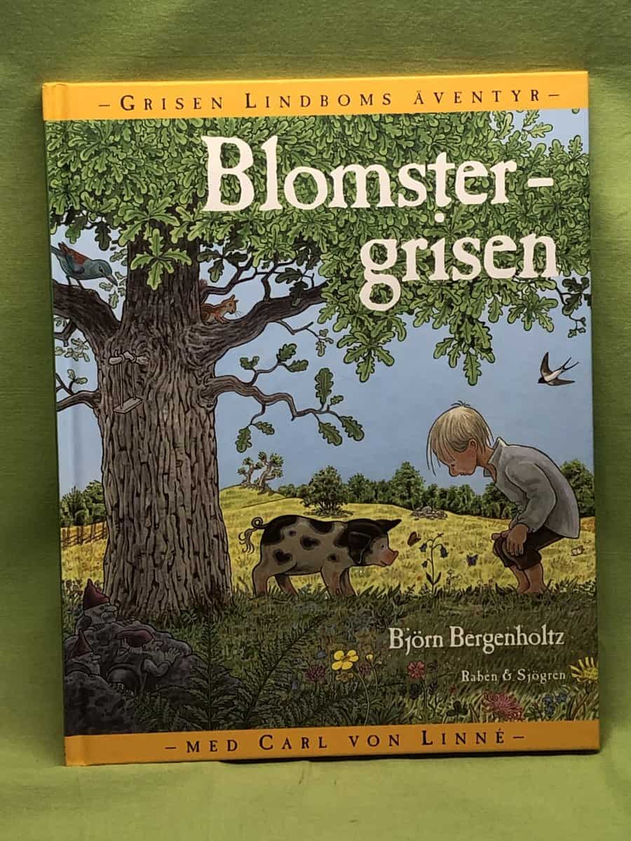 Björn Bergenholtz : Blomstergrisen