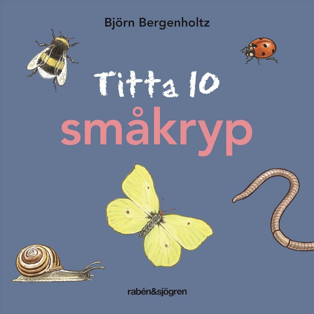 Björn Bergenholtz : Titta 10 småkryp