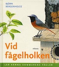 Björn Bergenholtz : Vid fågelholken