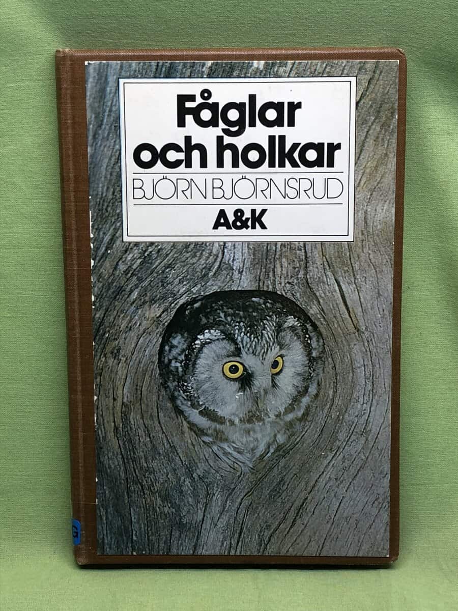 Björn Björnsrud : Fåglar och holkar