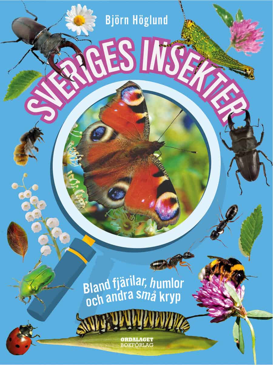 Björn Höglund : Sveriges insekter :  bland fjärilar, humlor och andra små kryp