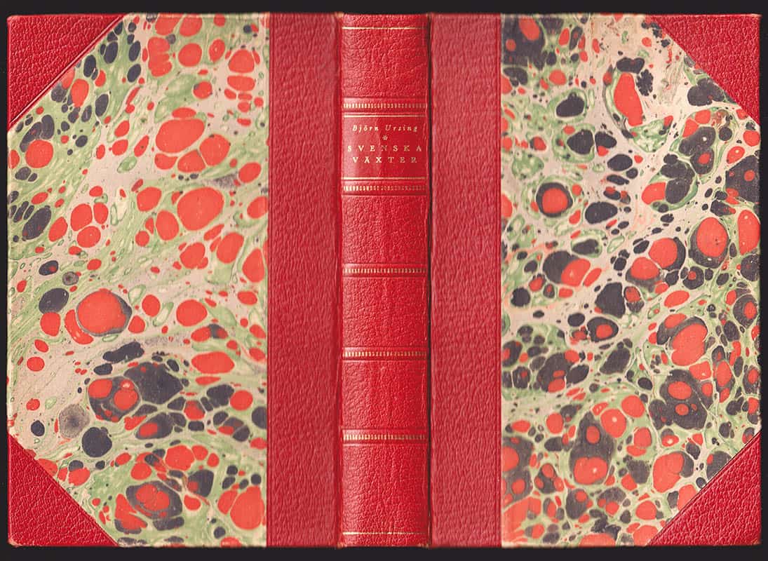 Björn Ursing : Svenska växter i text och bild. [Del 1]. Fanerogamer