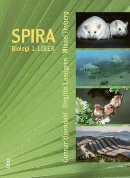 Björndahl, Gunnar ; Landgren, Birgitta ; Thyberg, Mikael : Spira 1