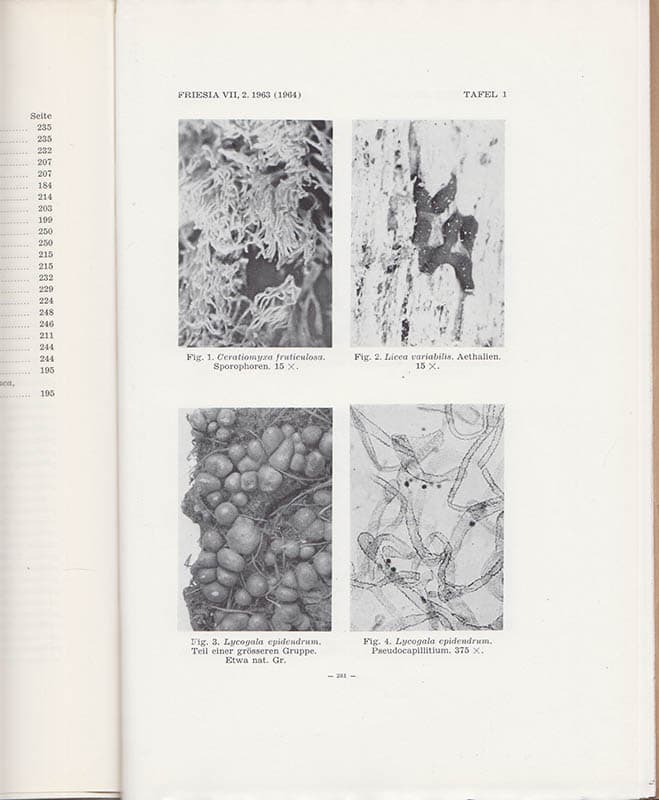 Bjørnekær, K. ; Klinge, Axel B. : Die dänischen Schleimpilze. Myxomycetes Daniae