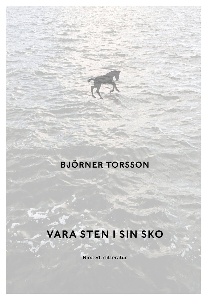 Björner Torsson : Vara sten i sin sko
