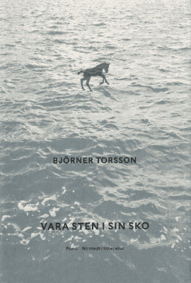Björner Torsson : Vara sten i sin sko