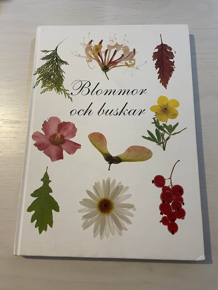 Blommor och buskar