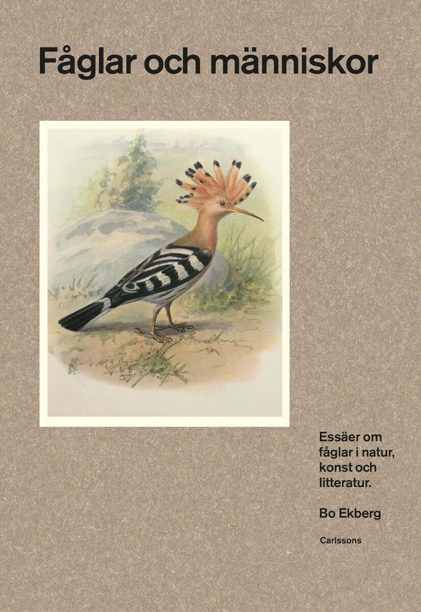 Bo Ekberg : Fåglar och människor : essäer om fåglar i natur, konst och litteratur
