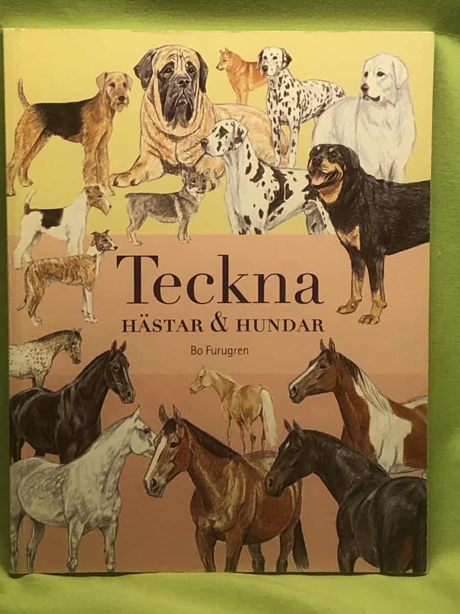 Bo Furugren : Teckna hästar och hundar