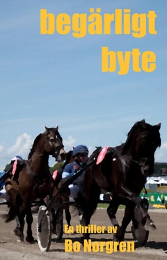 Bo Norgren : Begärligt byte