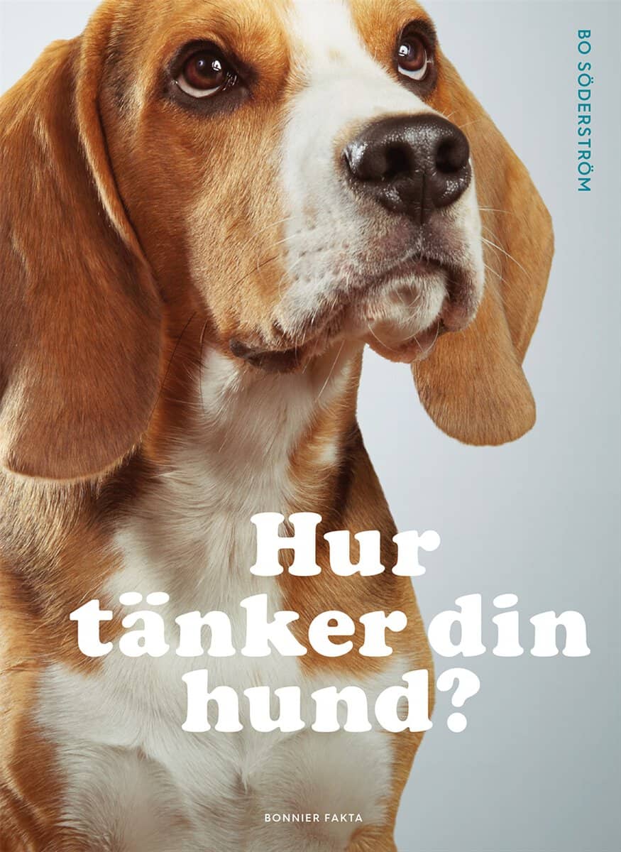 Bo Söderström : Hur tänker din hund?