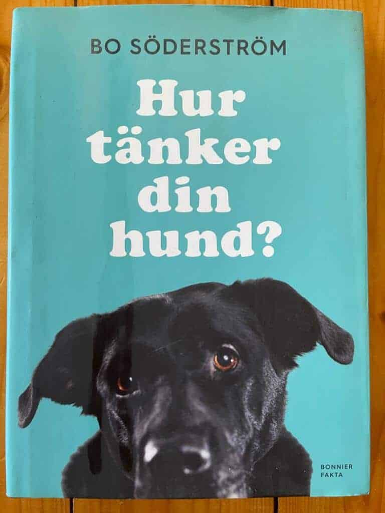 Bo Söderström : Hur tänker din hund?