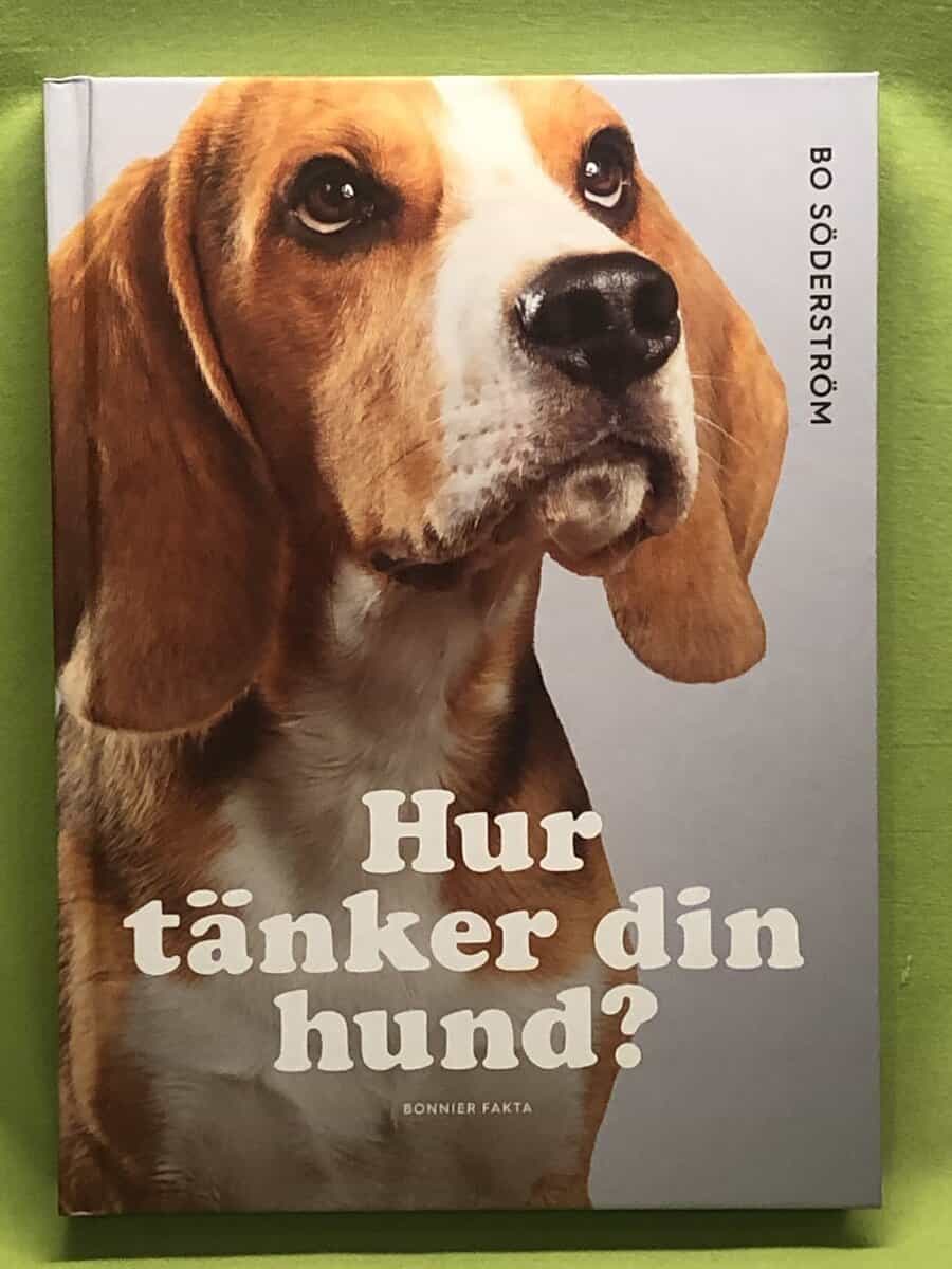 Bo Söderström : Hur tänker din hund?