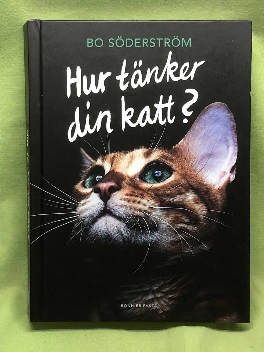 Bo Söderström : Hur tänker din katt?