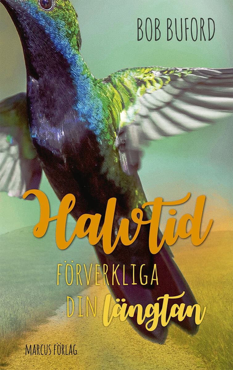 Bob Buford : Halvtid - förverkliga din längtan