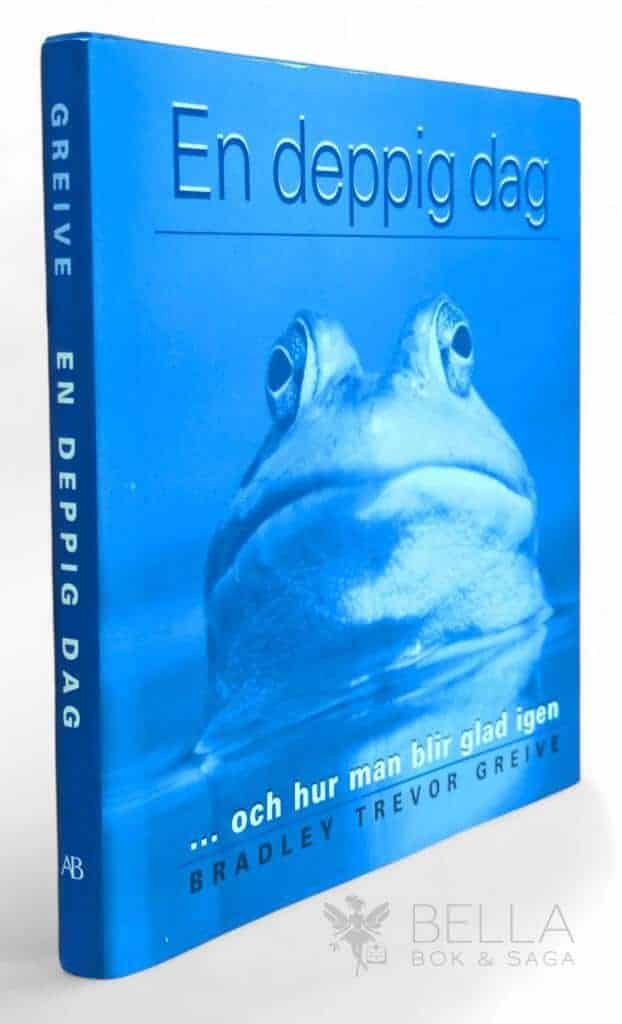 Bradley Trevor Greive : En deppig dag