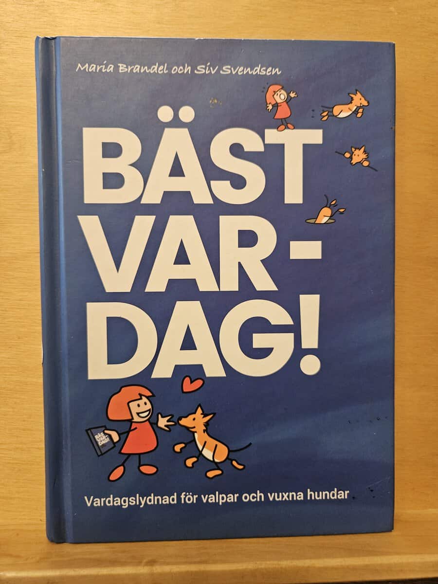 Brandel, Maria, Svendsen, Siv : Bäst var-dag!