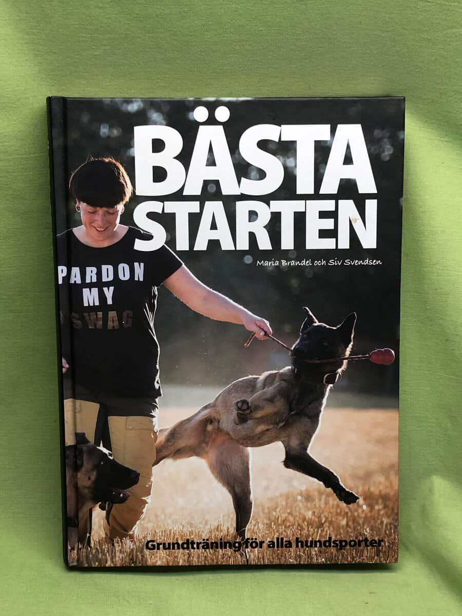 Brandel, Maria, Svendsen, Siv : Bästa starten
