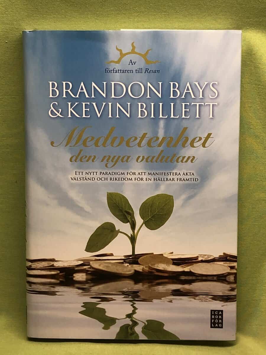 Brandon Bays : Medvetenhet - den nya valutan