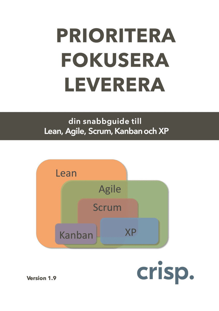 Brattberg, Hans ; Björkholm, Tomas : Prioritera Fokusera Leverera