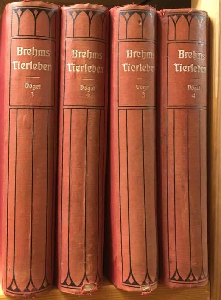 Brehms Tierleben - Vögel I-IV