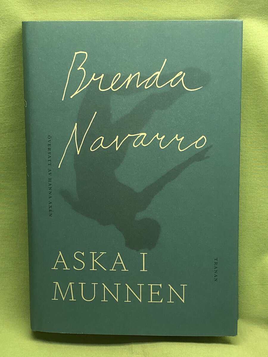 Brenda Navarro : Aska i munnen