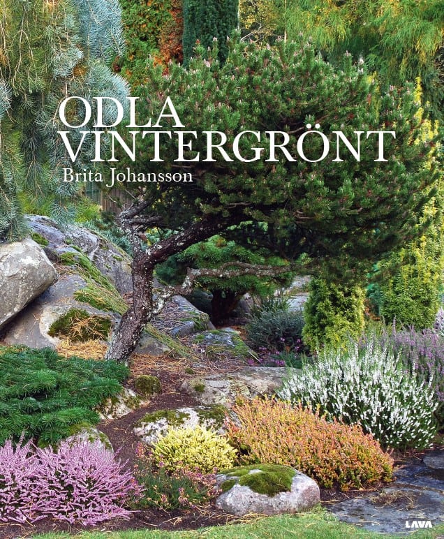 Brita Johansson : Odla vintergrönt