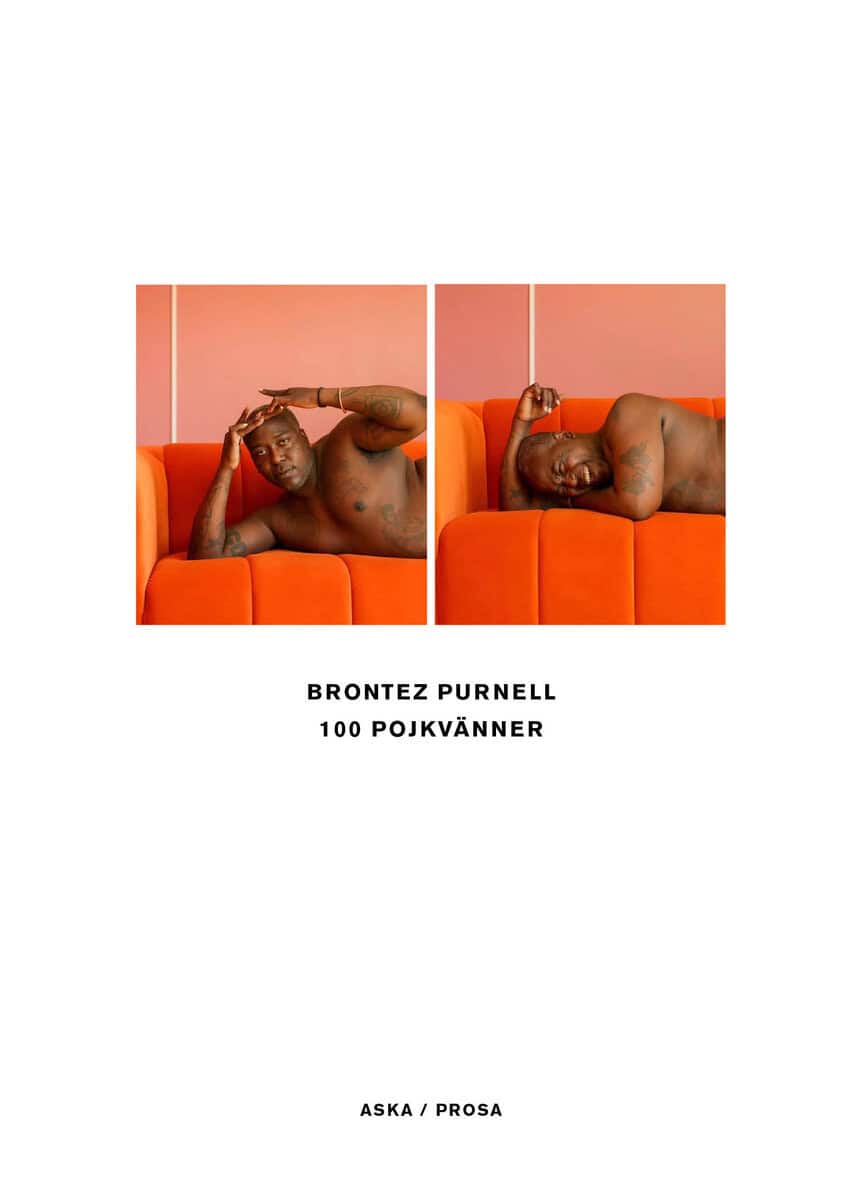 Brontez Purnell : 100 pojkvänner