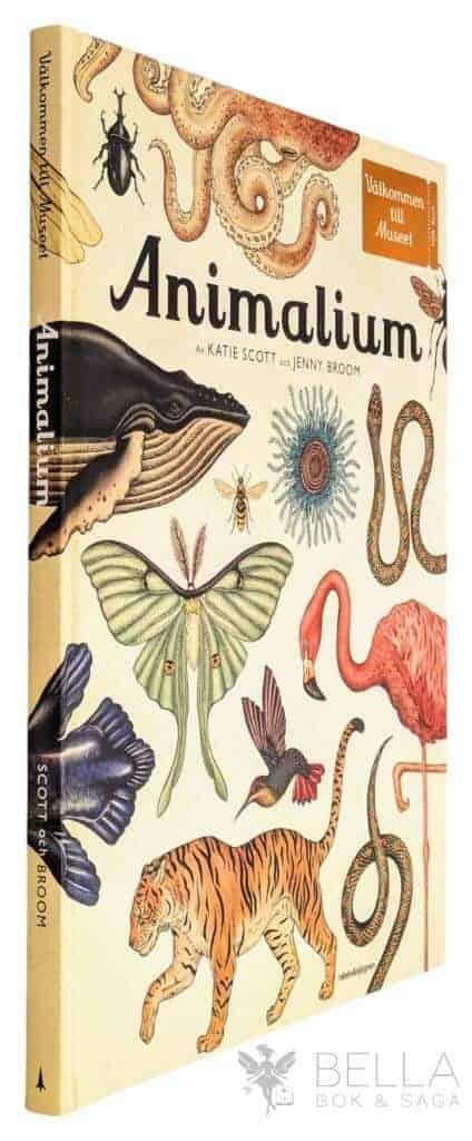 Broom, Jenny ; Katie Scott : Animalium - Välkommen till Museet