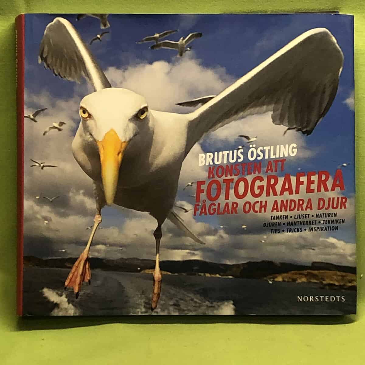 Brutus Östling : Konsten att fotografera fåglar och andra djur