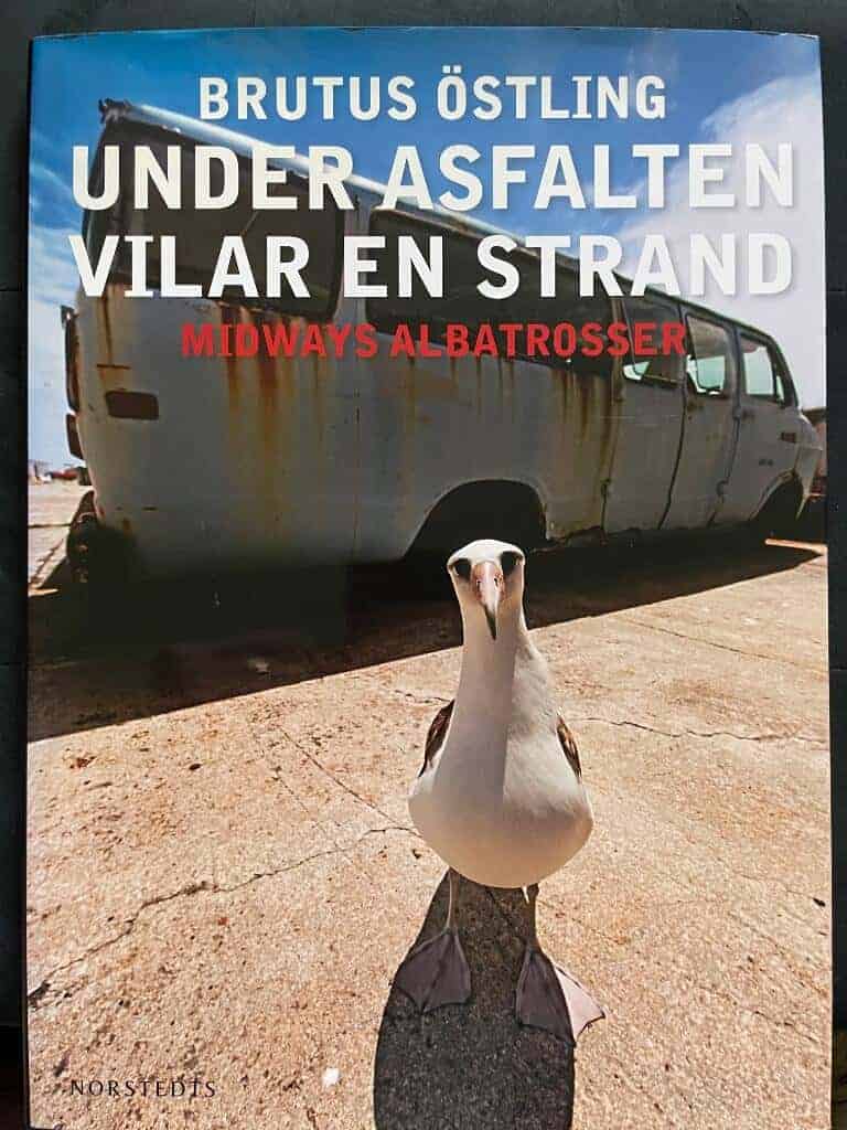 Brutus Östling : Under asfalten vilar en strand