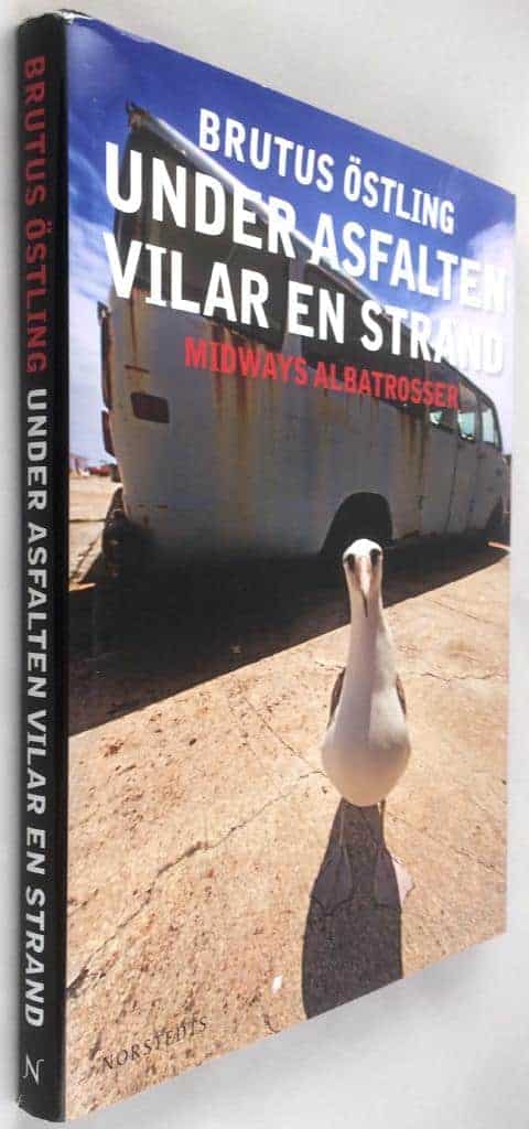 Brutus Östling : Under asfalten vilar en strand