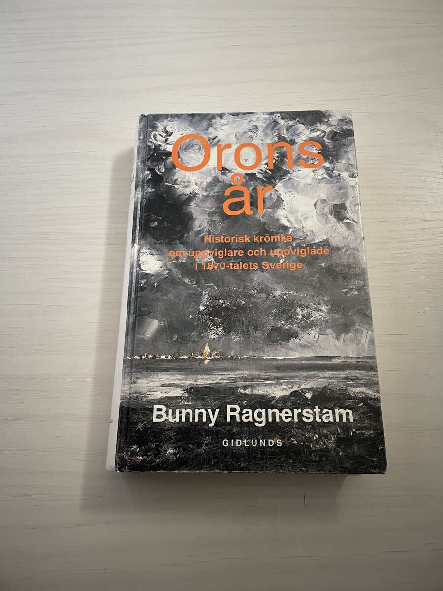 Bunny Ragnerstam : Orons år - Historisk krönika om uppviglare och uppviglade i 1870-talets Sverige