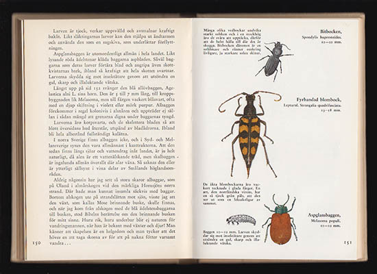 C. B. Gaunitz : Utkik på insektfronten