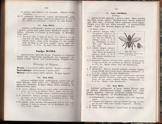 C. G. Thomson : Skandinaviens insecter. En handbok i entomologi. Till elementar-läroverkens tjenst utarbetad af C.G. Thomson. (Med öfver 100 i texten tryckte figurer)