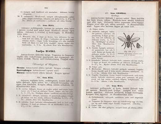 C. G. Thomson : Skandinaviens insecter. En handbok i entomologi. Till elementar-läroverkens tjenst utarbetad af C.G. Thomson. (Med öfver 100 i texten tryckte figurer)
