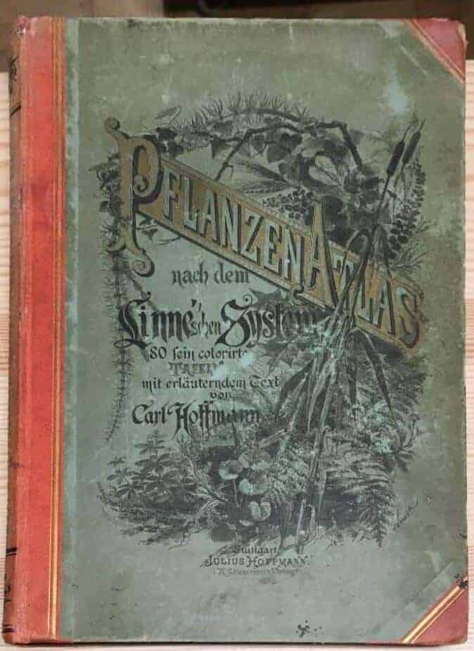 C Hoffman : Pflanzen-Atlas nach dem Linne'schen System