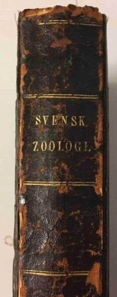 C m fl Quensel : Svensk Zoologi