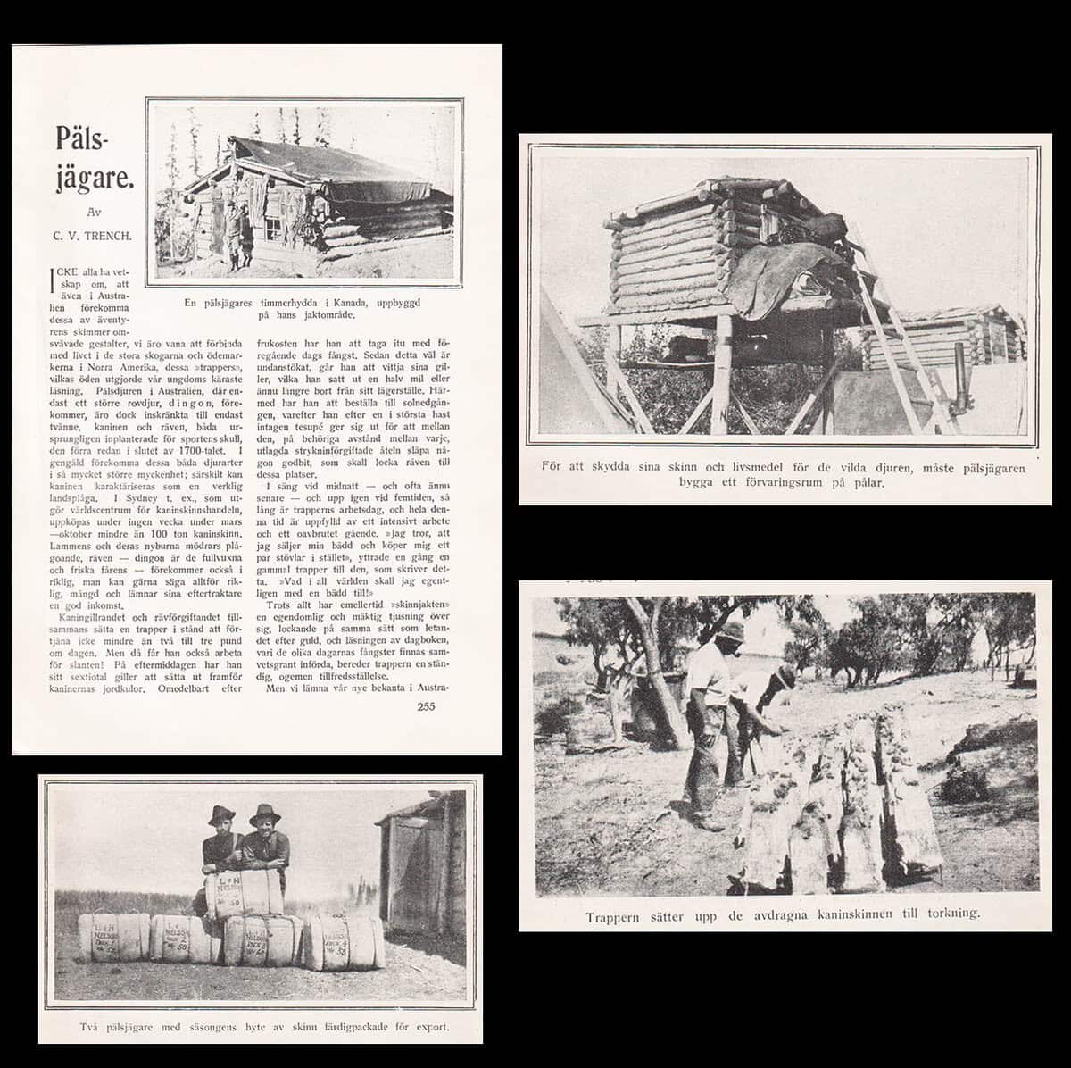 C. V. Trench : Pälsjägare