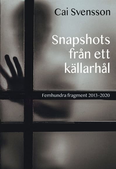 Cai Svensson : Snapshots från ett källarhål