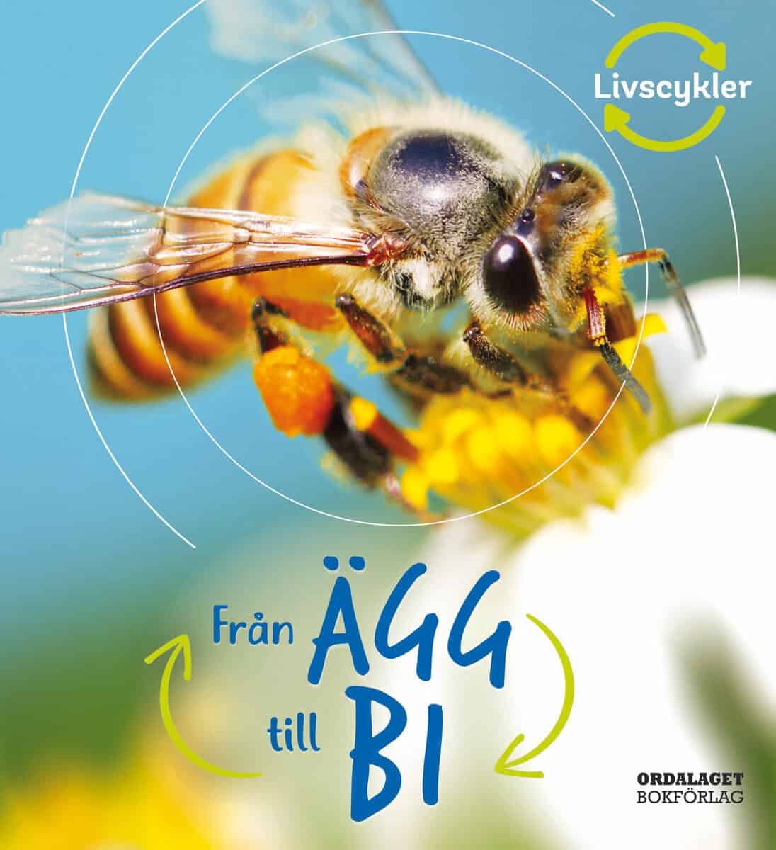 Camilla De la Bédoyère : Från ägg till bi