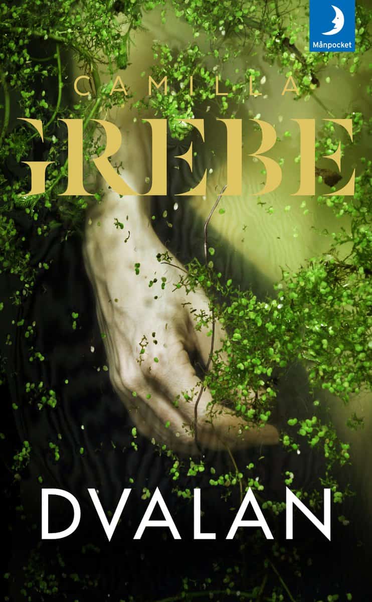 Camilla Grebe : Dvalan