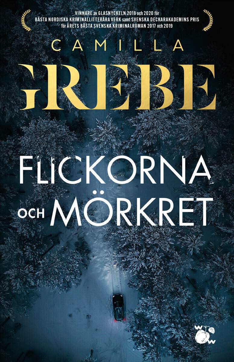 Camilla Grebe : Flickorna och Mörkret